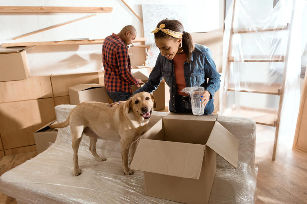 couple packing moving boxes with their dog